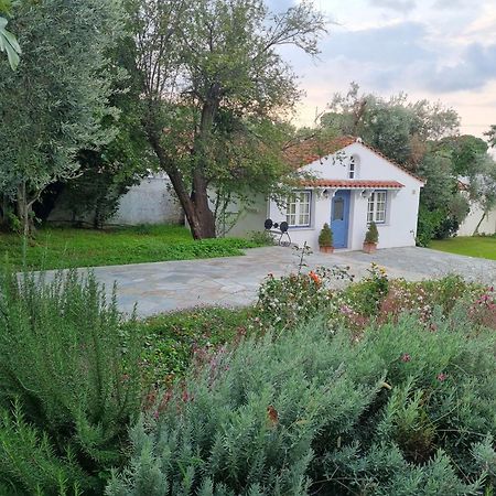 Villa Tellina Skiathos Town Exterior photo